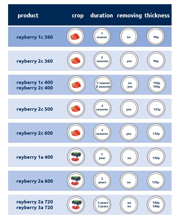 Reyberry 125 mic 2 season