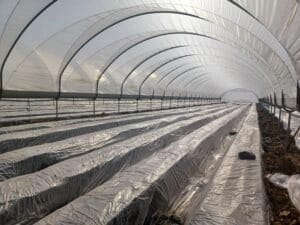 Agrosol Clear Uv Ad 25 mic