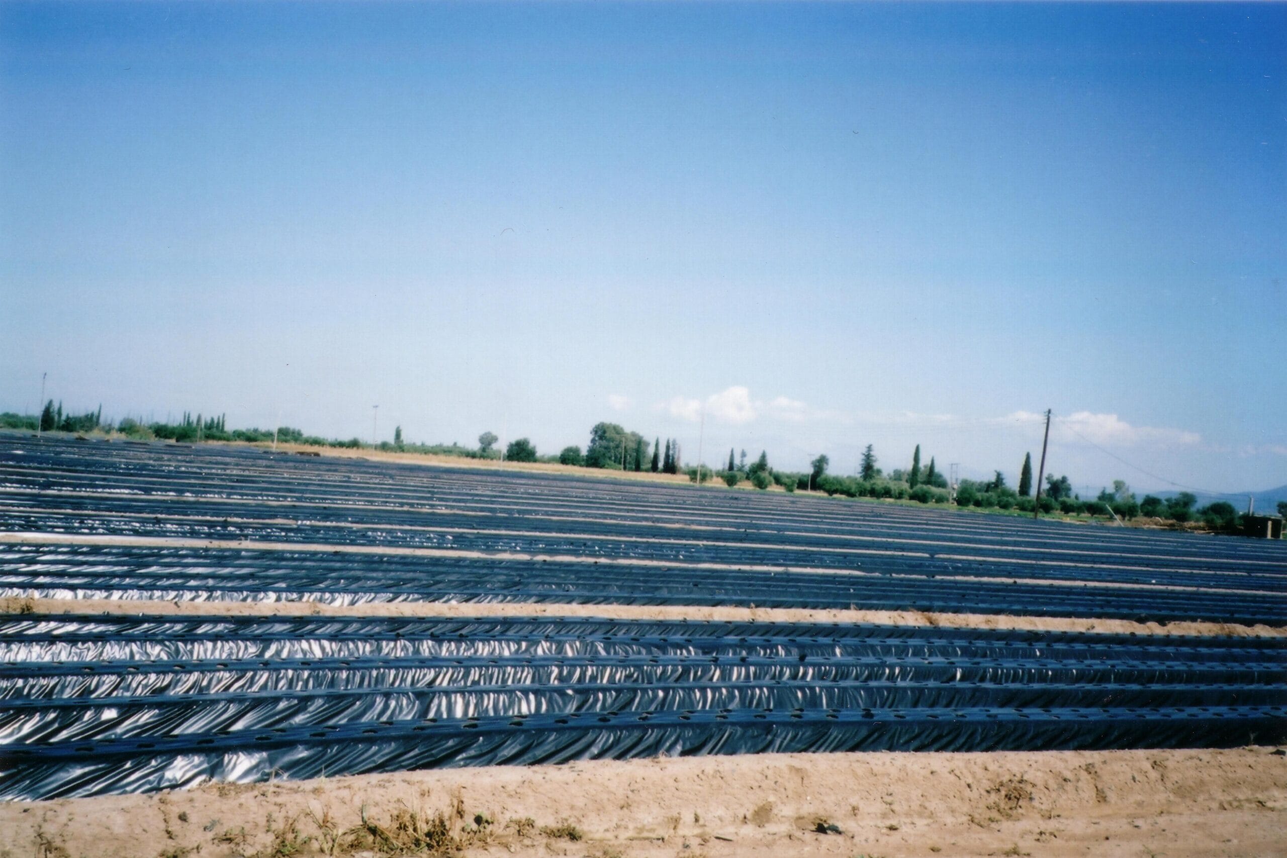 Agrokyperi μαύρο hdpe 40 mic